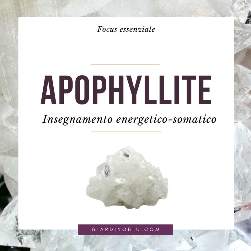 Apophyllite - insegnamento energetico-somatico